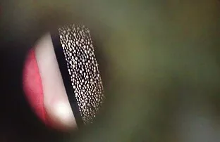 XXX As maminhas Assustadoras Asiáticas fodem o os melhores videos de porno do mundo tipo.