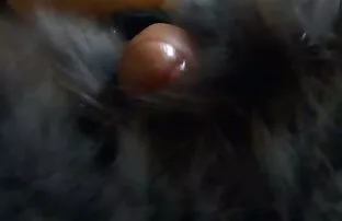 XXX A foder a minha melhor amiga quero ver os melhores vídeos pornô brasileiro irmãzinha no Snapchat.
